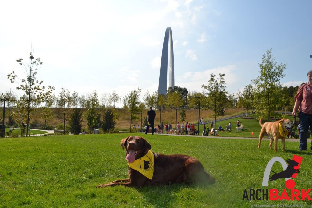 Best Dog Parks in St. Louis | The Gateway Arch